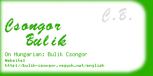 csongor bulik business card